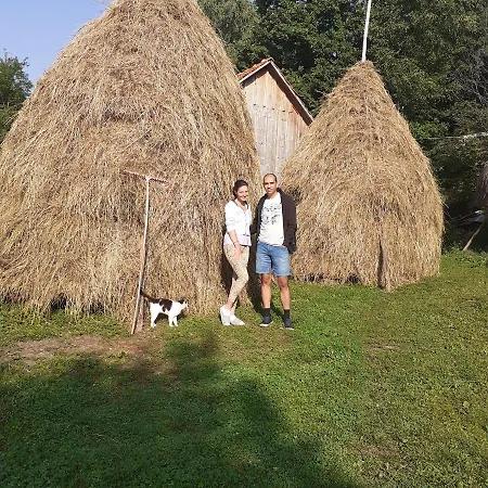 In Guest - Healthy Retreat In Mountain Guest house