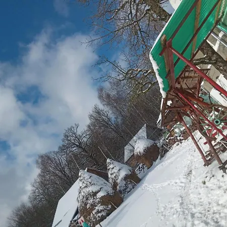 Guest house In Guest - Healthy Retreat In Mountain Rosia Montana