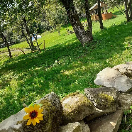 Guest house In Guest - Healthy Retreat In Mountain Rosia Montana