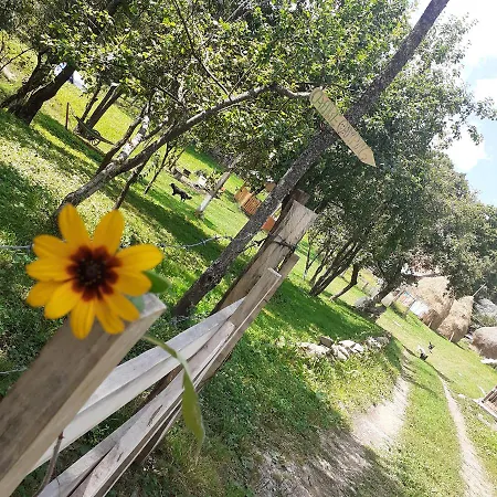 In Guest - Healthy Retreat In Mountain 3* Rosia Montana