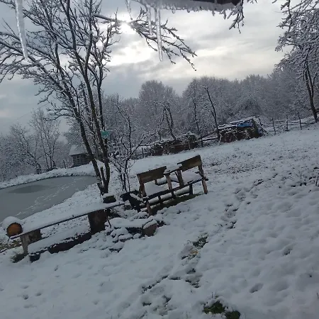 In Guest - Healthy Retreat In Mountain