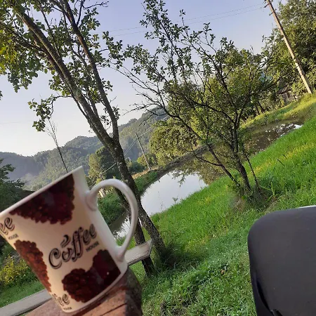 In Guest - Healthy Retreat In Mountain Rosia Montana