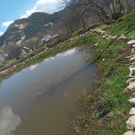 In Guest - Healthy Retreat In Mountain Guest house Rosia Montana