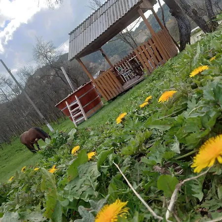 Guest house In Guest - Healthy Retreat In Mountain Rosia Montana