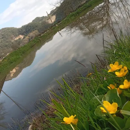 In Guest - Healthy Retreat In Mountain