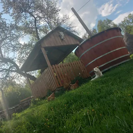 Guest house In Guest - Healthy Retreat In Mountain Rosia Montana